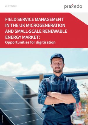 Renewable Energy White Paper